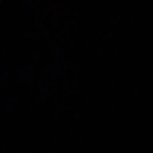 Meet your Posher, Isabella